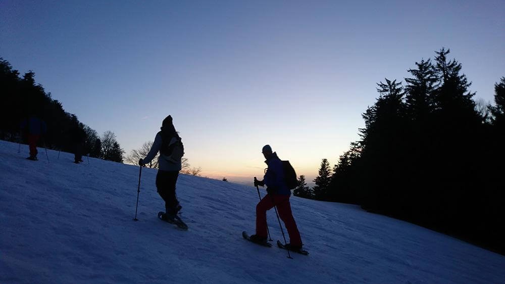 snowshoeing