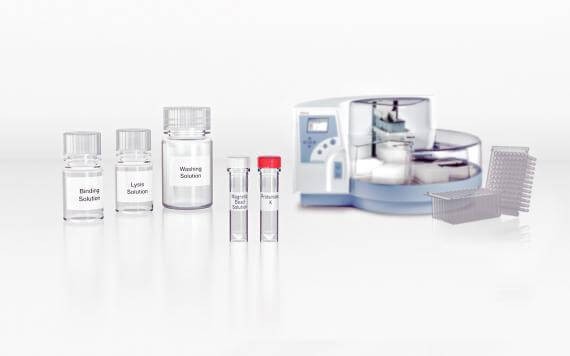 Extraction with KingFisherFlex Extraction with KingFisherFlex