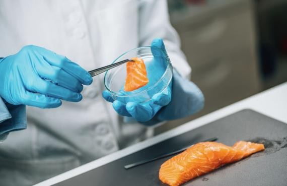 Assays for food safety control